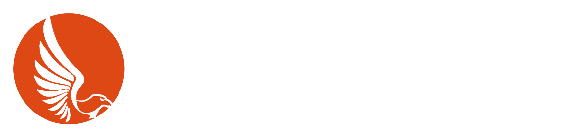 visionfactory.net